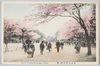 東京上野公園ノ桜/Tokyo, Cherry Blossoms in Ueno Park image