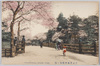 東京赤坂弁慶橋ノ桜/Tokyo, Cherry Blossoms at Benkeibashi Bridge in Akasaka image
