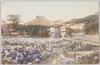 菖蒲園/Iris Garden image
