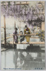 蒲田藤花/Wisteria in Kamata image