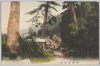 箱根旧街道/Former Main Road in Hakone image