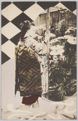 菊と着物姿の女性 / Chrysanthemum and a Woman in a Kimono image