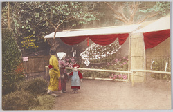 菊と和服の女性・子供 / Chrysanthemums, Women and a Child in a Kimono image