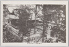 高麗神社　本殿及拝殿/Main Hall and Sanctuary of Komajinja Shrine image