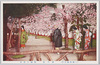 明治の俤　桜の会　醍醐の花見　(生き人形)/Photo of Cherry Blossom Party from 