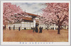 平和記念東京博覧会　染織館/Dyeing and Weaving Pavilion at the Peace Commemoration Tokyo Exposition  image
