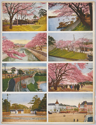 裁断前絵ハガキ 桜と東京名所 / Uncut Picture Postcard of "Cherry Blossoms and Famous Views of Tokyo" image