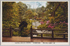 目黒雅叙園　敷島の間より庭園の一部/Garden as Seen from Shikishima Room of Meguro Gajoen image