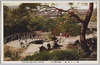 目黒雅叙園　庭園の一部/Garden of Meguro Gajoen image