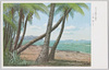 ヤップ海岸の風光/Coastal View of the Yap Islands  image