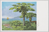 パパイヤ茂る海浜/Papaya Trees on the Beach image