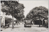 南洋　パラオ島コロール街/(South Sea Islands) Koror Street on Palau Island  image