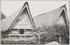 南洋　パラオ島コロールアバイ(島民集会所)/(South Sea Islands) Koror Abai (Traditional Village Meeting House) in Palau Island image