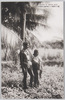 椰子の実抱いてカナカは微笑む/Smiling Kanaka People Holding Coconuts image