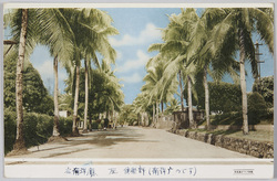 南洋パラオ島風景 右.南洋庁 左.倶楽部 / Photos of Palau Island (Right) Palau Prefecture Office (Government Office of the South Sea Islands) and (Left) Club for Employees of the Government Office of the South Sea Islands image