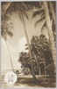 南洋パラオ島　パラオ本島マルキョク海岸/(Palau Islands) Melekeok Beach on the Main Palau Island image