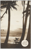 南洋パラオ島　ヤシ林のかなた水平線上より昇る日の出の美観/(Palau Islands) Sunrise Seen from a Palm Tree Forest image