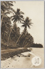 南洋パラオ島　パラオ本島マルキョク海岸/(Palau Islands) Melekeok Beach on the Main Palau Island image