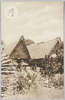 南洋パラオ島　島民アバイ/(Palau Islands) Abai (Traditional Village Meeting House) image