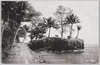 南洋　パラオ本島ガクラオ海岸/(South Sea Islands) Gakrao Beach on the Main Palau Island image