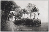 南洋－パラオ本島ガクラオ海岸/South Sea Islands - Gakrao Beach on the Main Palau Island image