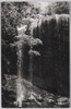 南洋－パラオ本島ガラスマオ滝/South Sea Islands - Ngardmau Waterfalls on the Main Palau Island  image