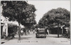 南洋－パラオ島コロール街/South Sea Islands - Koror Street on Palau Island  image