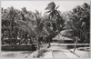 南洋－パラオ本島マルキョク海岸の風景/South Sea Islands - Melekeok Beach on the Main Palau Island image