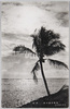 南洋－暁の海岸風景/South Sea Islands - Beach at Sunrise image