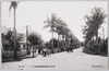 南洋－パラオ島興発倶楽部前椰子並木道/South Sea Islands - Street with Palm Trees in Front of the Palau Island Restoration Club  image