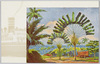 南洋の楽園　ヤップ島の風俗と風景/(Southern Islands Paradise) Customs and Landscapes of Yap Archipelago  image