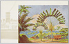 南洋の楽園　ヤップ島の風俗と風景/(Southern Islands Paradise) Customs and Landscapes of Yap Archipelago  image