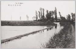 霞ヶ浦湖水めぐり / Lake Kasumigaura image