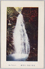 高尾山名勝琵琶滝/(Mt. Takao) Biwa Waterfall image