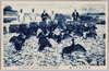 岐阜長良川の鵜/(Gifu) Cormorants on Nagara River  image