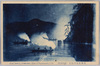 岐阜長良川鵜飼(夜間撮影)/(Gifu) Ukai (Cormorant Fishing) on Nagara River (Night) image
