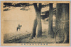 会津猪苗代湖畔の風光/Scenery of Lake Inawashiro Lakeside, Aizu image