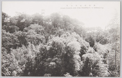 浜松名所 / Famous Views of Hamamatsu image