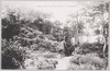 浜松城址/Hamamatsu Castle Ruins image