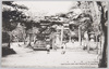 八幡神社/Hachiman Shrine image