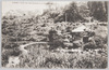 鹿谷園/Shikatanien image