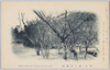 岐阜　篠ヶ谷梅林/Plum Grove at Sasagatani, Gifu image