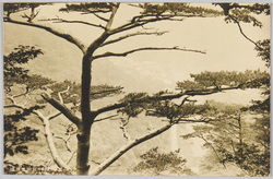 塩原天狗岩ヨリ福渡ヲ望ム / View of Fukuwata From Shiobara Tenguiwa image