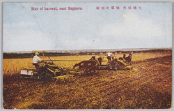 札幌郊外牧草の刈取 / Harvesting in the Pastures of Suburban Sapporo image