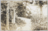 白虎隊士自刃之趾　会津飯盛山　/Site Where the Byakkotai Committed Suicide, Mt. Iimori, Aizu image