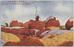 札幌郊外牧草堆積　 / Hay Bales in Suburban Sapporo image