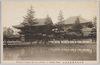 東大寺大仏殿及廻廊/Great Buddha Hall and Corridor, Tōdaiji Temple image