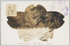春の嵐山　全景の桜/Arashiyama in Spring, Cherry Blossoms in Full View image