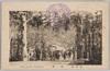 成田山　梅林/Plum Grove, Naritasan image
