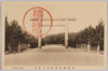 橿原神宮　表参道大鳥居/Ōtorii on the Front Approach to Kashihara Shrine image